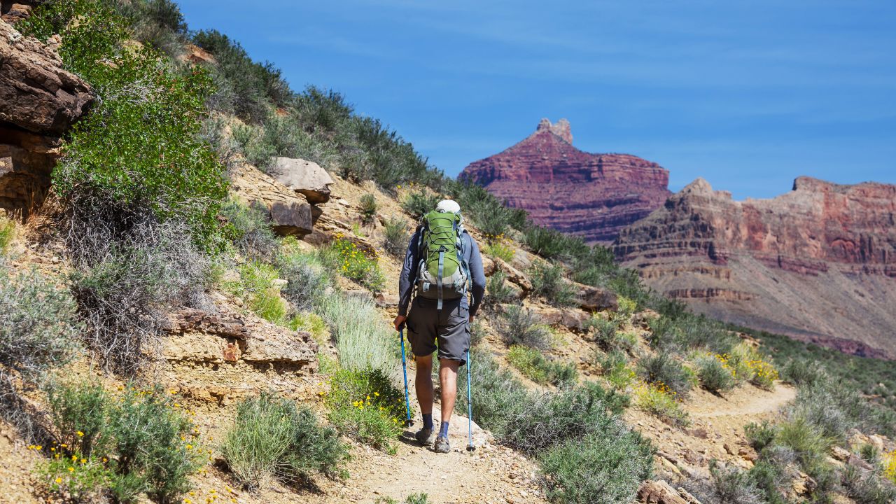 Designing Your Nature-Centered Grand Canyon Journey