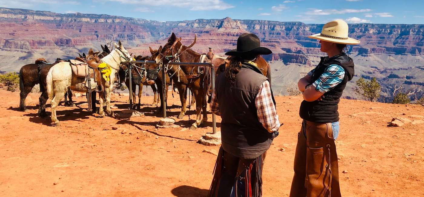 Grand Canyon Village - 21 Things To Do in the Grand Canyon